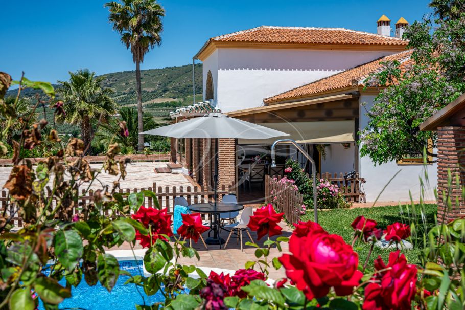 Hermosa casa de campo andaluza con viñedo y bodega, Ronda