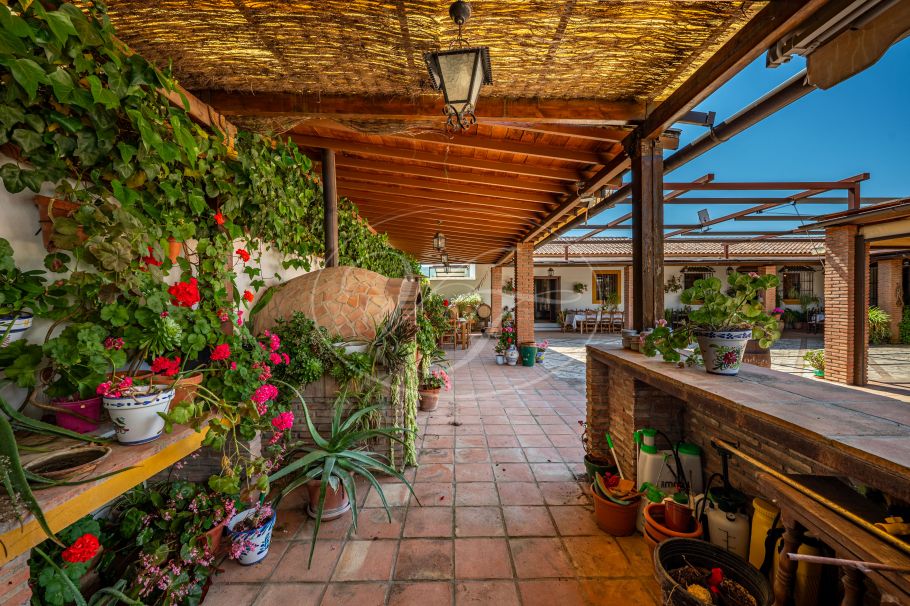 Hermosa casa de campo andaluza con viñedo y bodega, Ronda