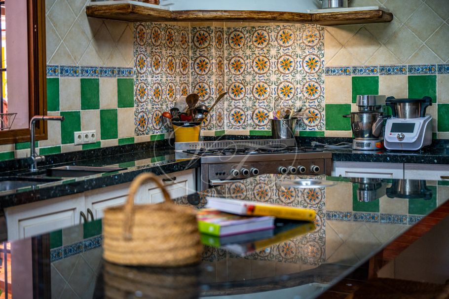 Hermosa casa de campo andaluza con viñedo y bodega, Ronda
