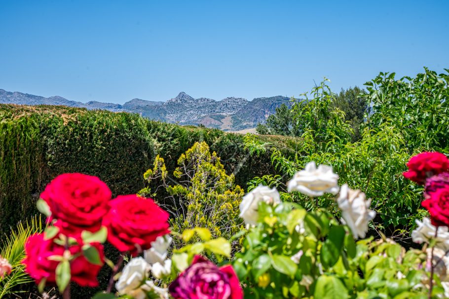Hermosa casa de campo andaluza con viñedo y bodega, Ronda