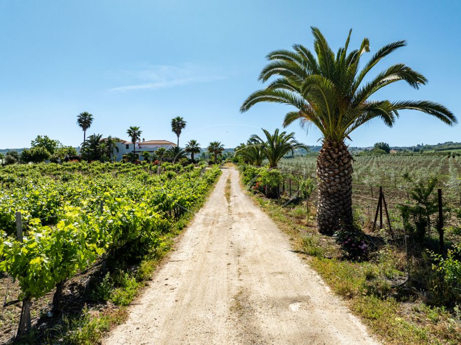 Hermosa casa de campo andaluza con viñedo y bodega, Ronda