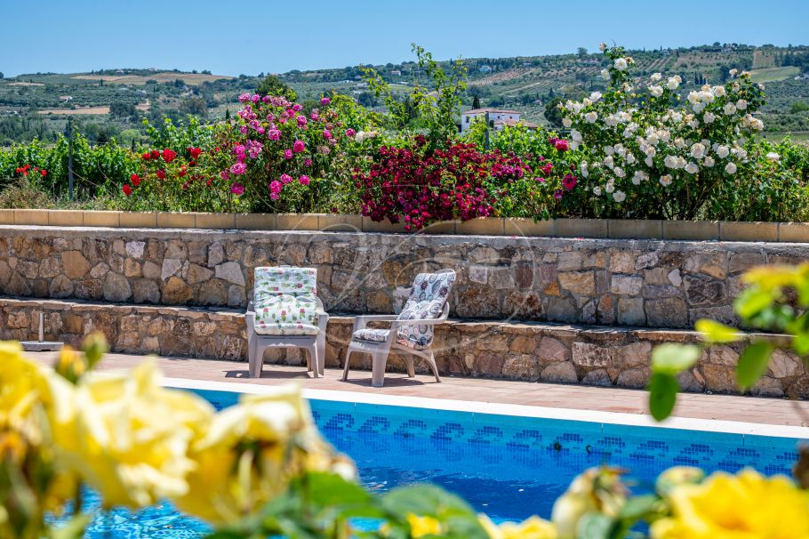 Hermosa casa de campo andaluza con viñedo y bodega, Ronda