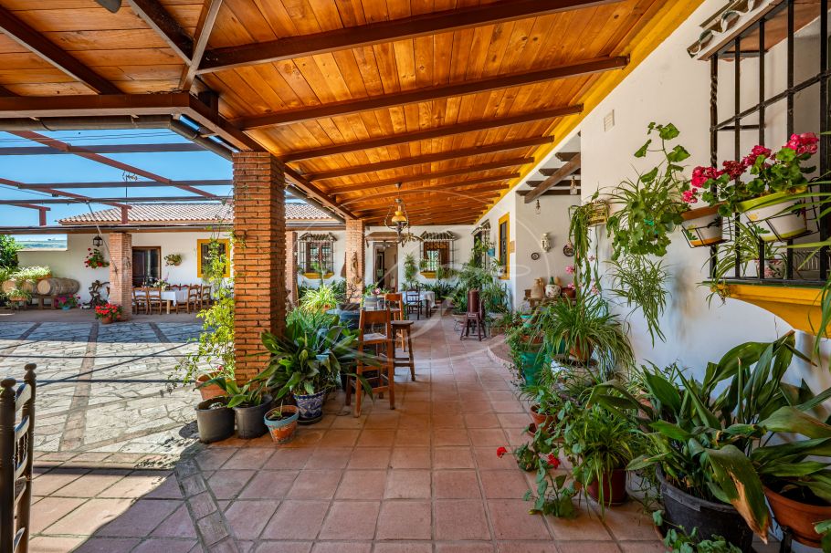 Hermosa casa de campo andaluza con viñedo y bodega, Ronda