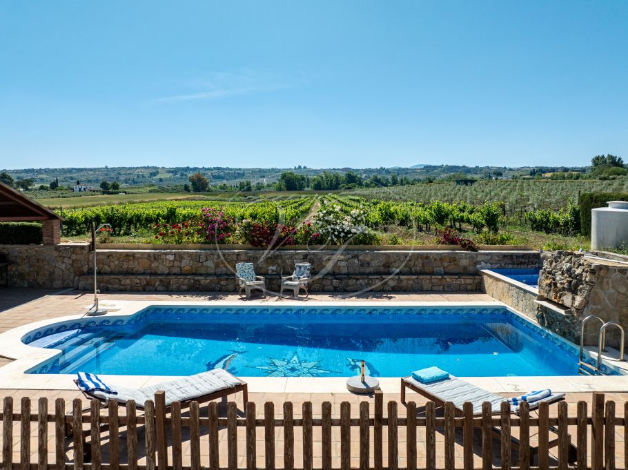 Hermosa casa de campo andaluza con viñedo y bodega, Ronda
