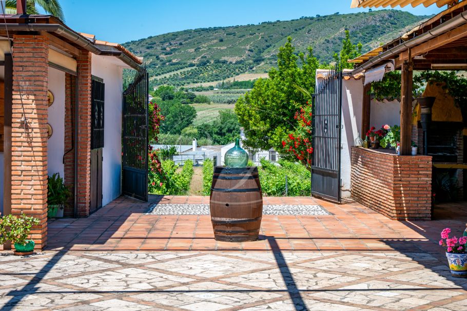 Hermosa casa de campo andaluza con viñedo y bodega, Ronda