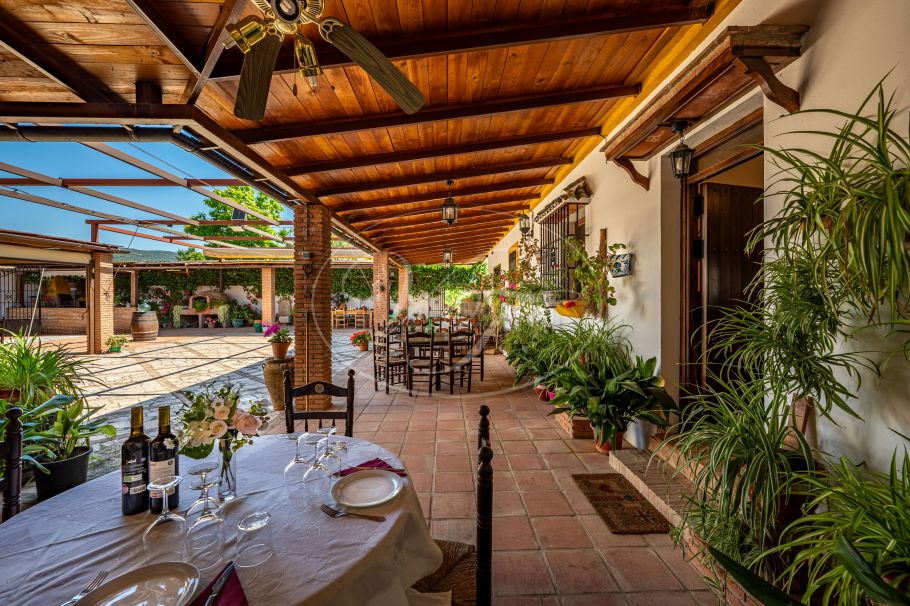 Hermosa casa de campo andaluza con viñedo y bodega, Ronda