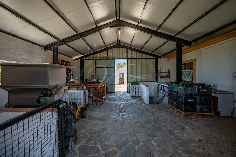 Hermosa casa de campo andaluza con viñedo y bodega, Ronda