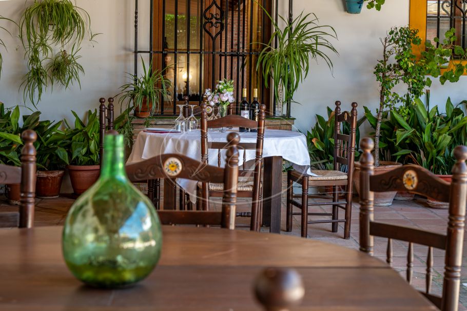 Hermosa casa de campo andaluza con viñedo y bodega, Ronda
