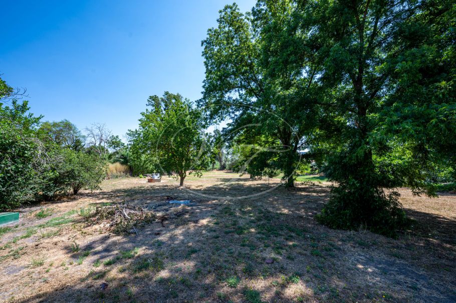 Moderne finca met prachtige tuin en gastenstudio, Ronda