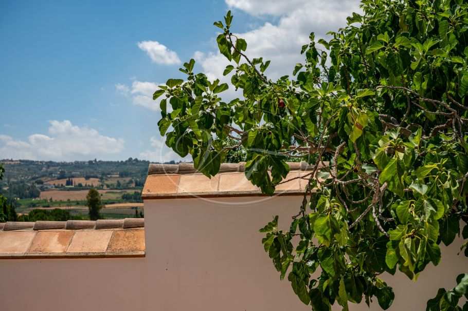 Moderne finca met prachtige tuin en gastenstudio, Ronda