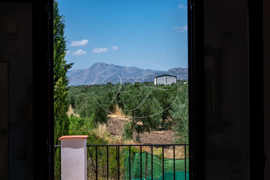 Moderne finca met prachtige tuin en gastenstudio, Ronda