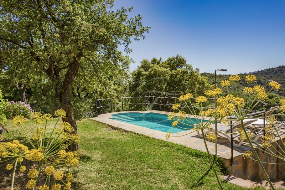Charming country house with guest house, Casares