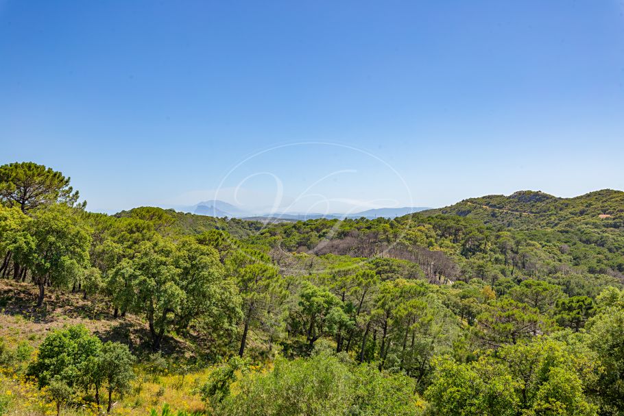 Charming country house with guest house, Casares