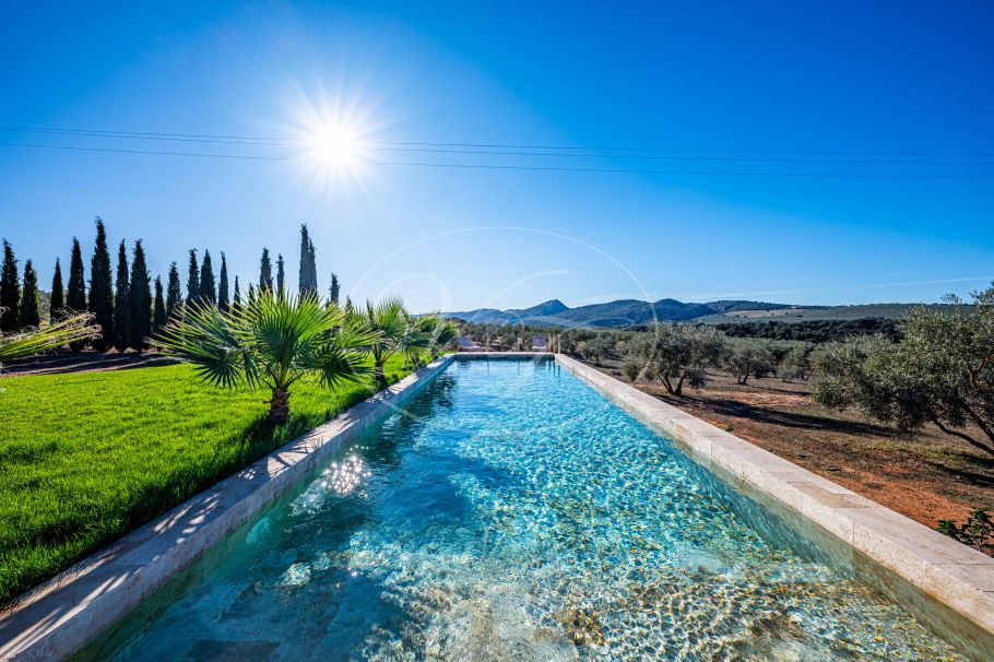 Cortijo Andaluz con casa de invitados, completamente reformado, Ronda