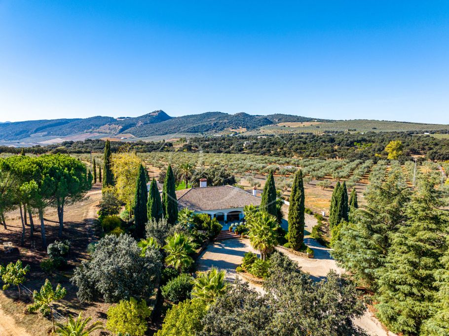Cortijo Andaluz con casa de invitados, completamente reformado, Ronda