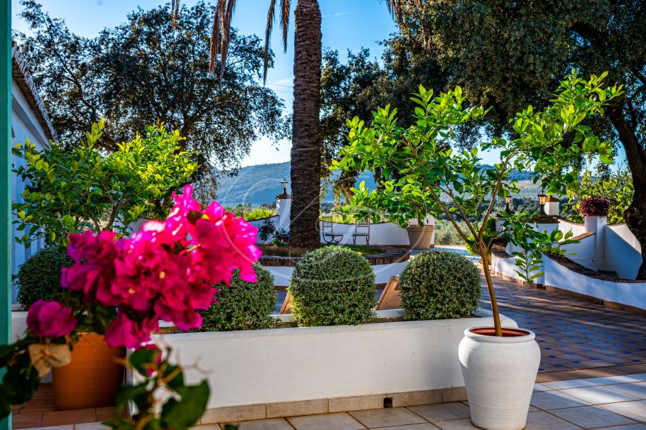 Andalusisches Cortijo mit Gästehaus, vollständig renoviert, Ronda