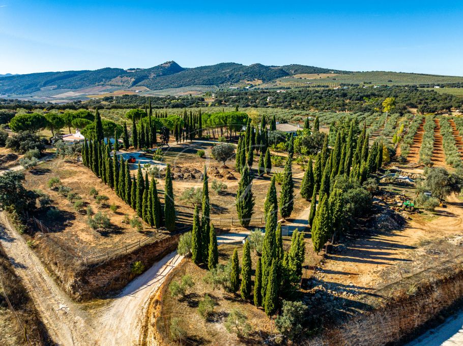 Andalusisches Cortijo mit Gästehaus, vollständig renoviert, Ronda