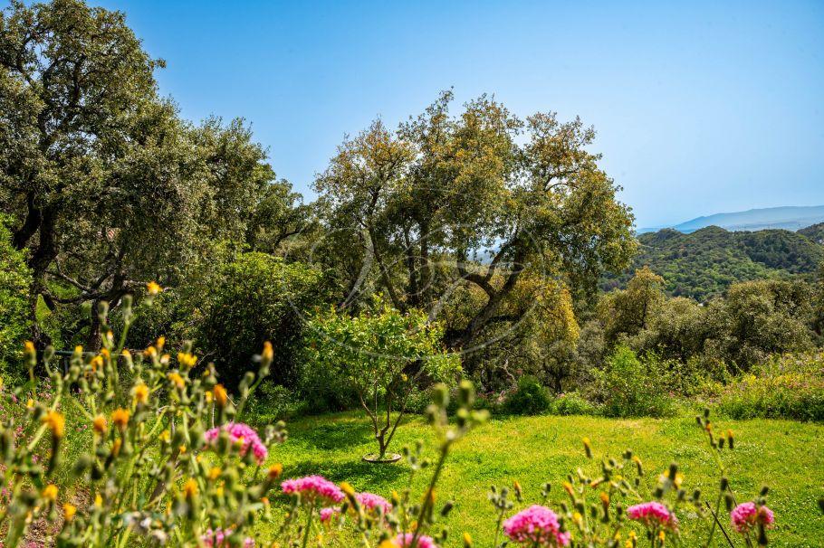 Casa de Campo modernizada con Vistas Espectaculares, Casares Montaña