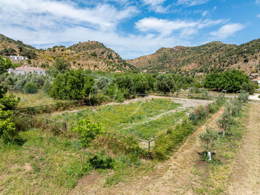 Beautiful Andalusian Finca With 2 Guesthouses, Almogia