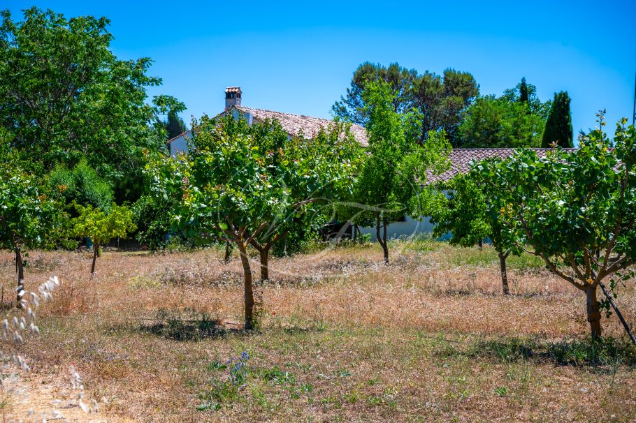 Charmante Andalusische cortijo in de glooiende heuvels, Ronda