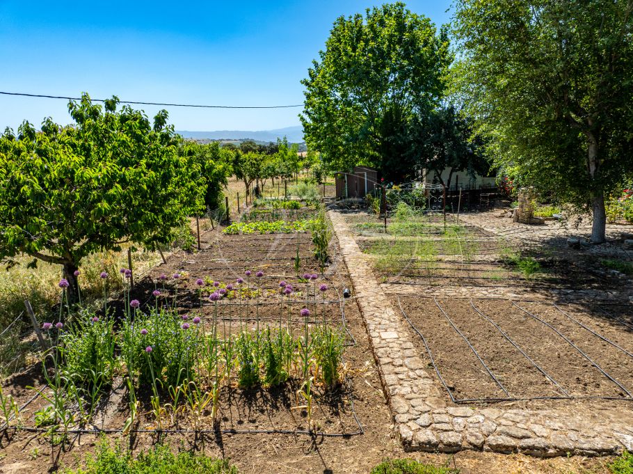 Charmante Andalusische cortijo in de glooiende heuvels, Ronda