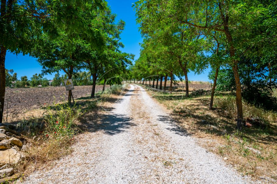 Charmante Andalusische cortijo in de glooiende heuvels, Ronda