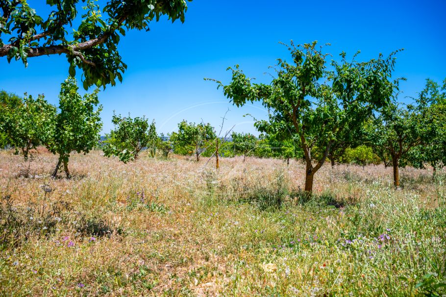 Charmante Andalusische cortijo in de glooiende heuvels, Ronda