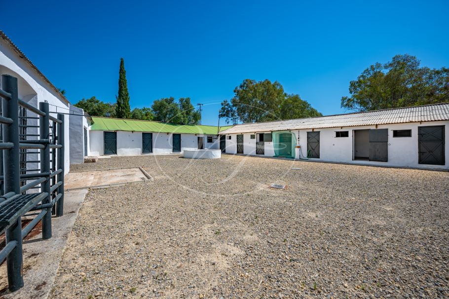 Cortijo with Olive grove, the Andalusian dream, Prado del Rey