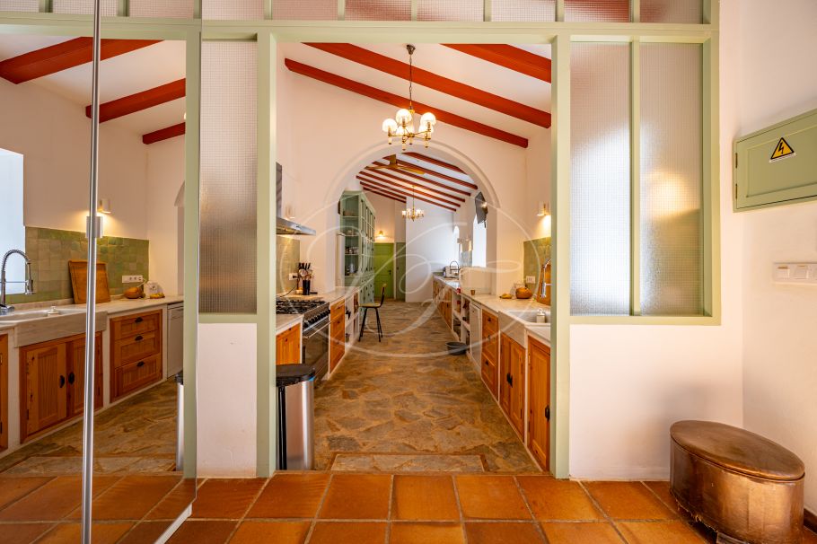 Cortijo with Olive grove, the Andalusian dream, Prado del Rey