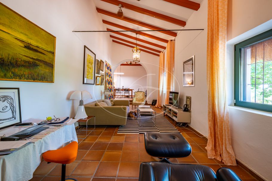 Cortijo with Olive grove, the Andalusian dream, Prado del Rey