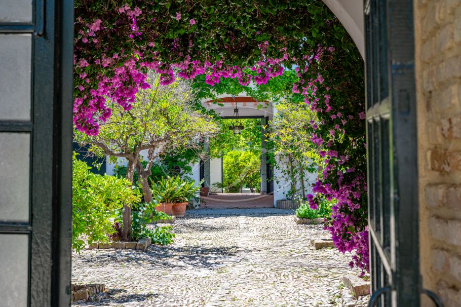Cortijo with Olive grove, the Andalusian dream, Prado del Rey