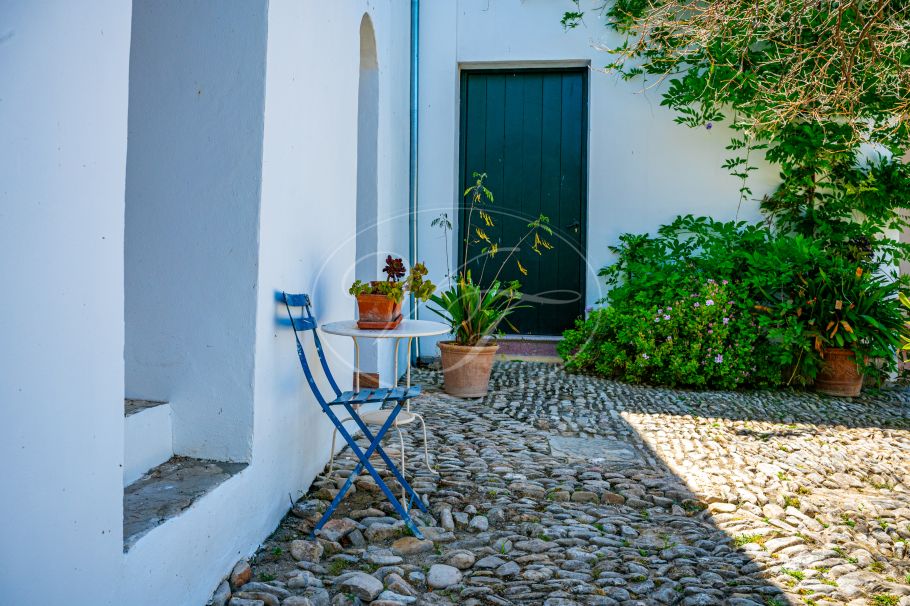 Cortijo with Olive grove, the Andalusian dream, Prado del Rey