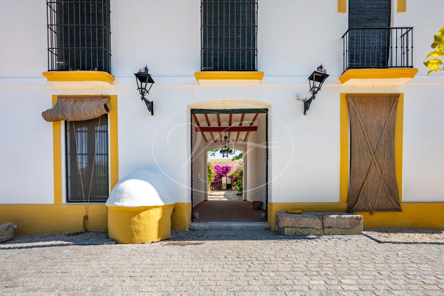 Cortijo with Olive grove, the Andalusian dream, Prado del Rey