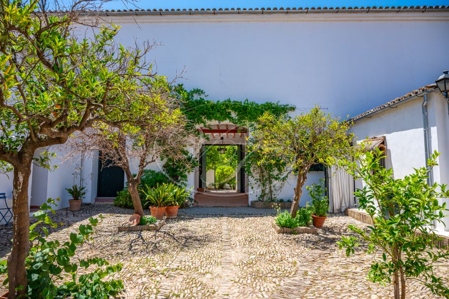 Cortijo with Olive grove, the Andalusian dream, Prado del Rey