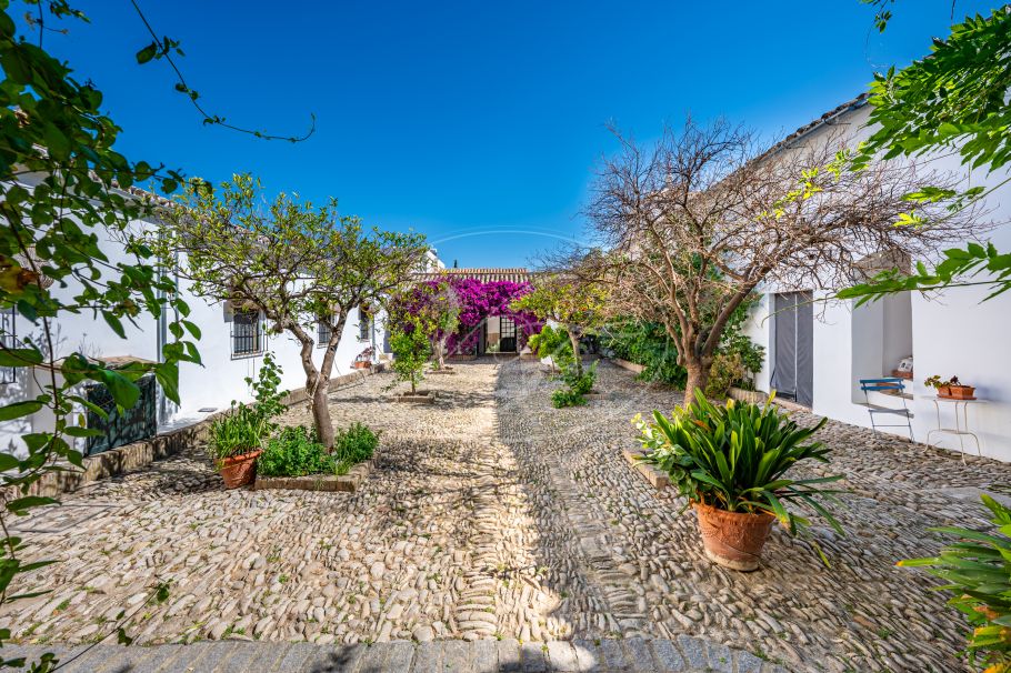 Cortijo with Olive grove, the Andalusian dream, Prado del Rey