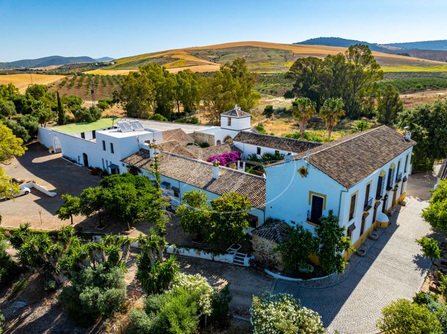 Cortijo with Olive grove, the Andalusian dream, Prado del Rey