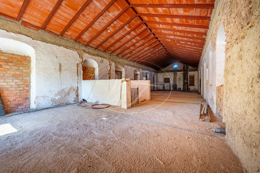 Cortijo with Olive grove, the Andalusian dream, Prado del Rey