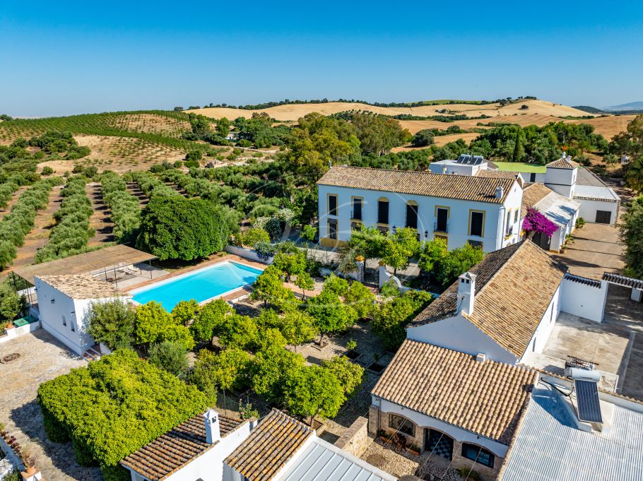 Cortijo with Olive grove, the Andalusian dream, Prado del Rey