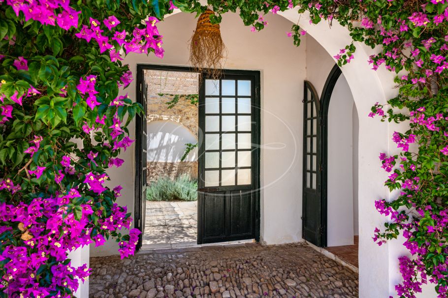 Cortijo with Olive grove, the Andalusian dream, Prado del Rey