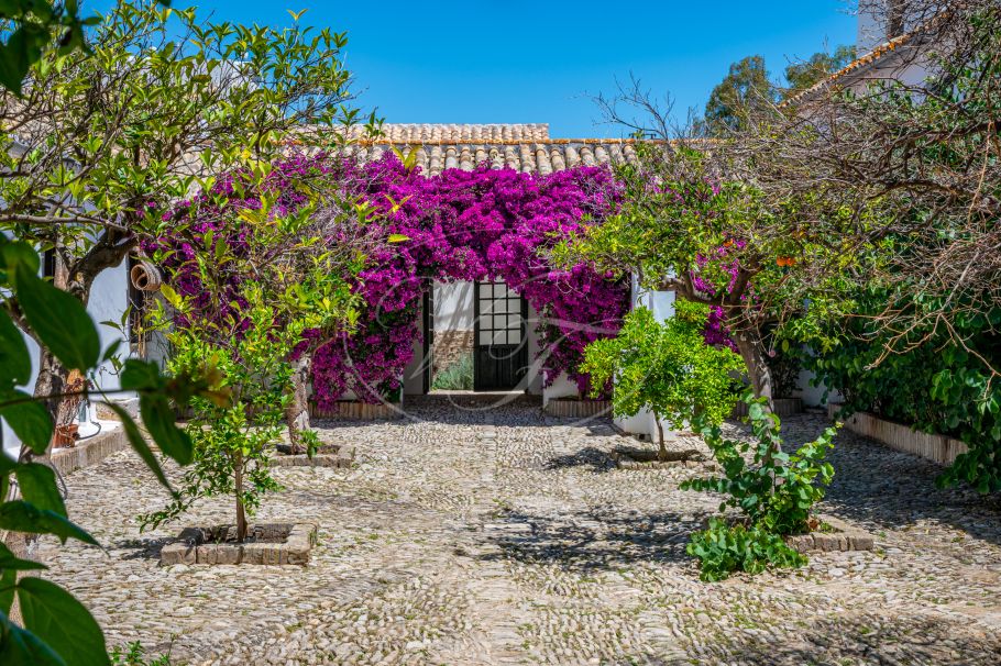 Cortijo with Olive grove, the Andalusian dream, Prado del Rey