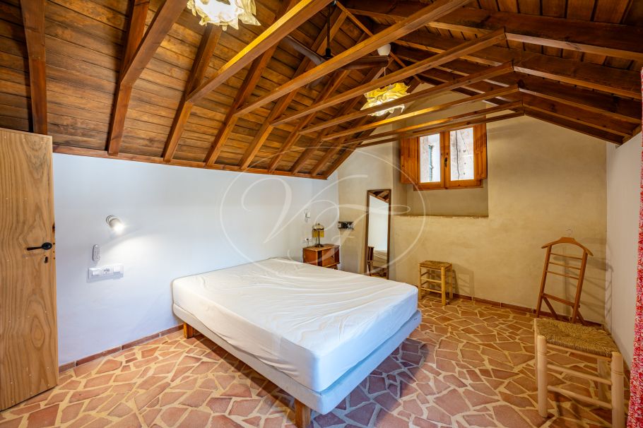 Cortijo with Olive grove, the Andalusian dream, Prado del Rey