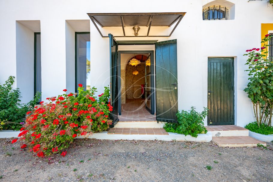 Cortijo with Olive grove, the Andalusian dream, Prado del Rey