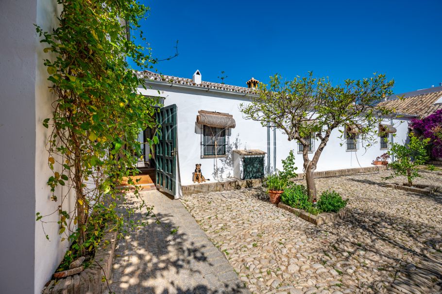 Cortijo with Olive grove, the Andalusian dream, Prado del Rey