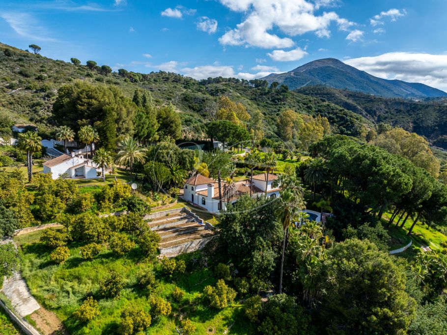 Fully renovated country property with guest house, Alhaurin el Grande