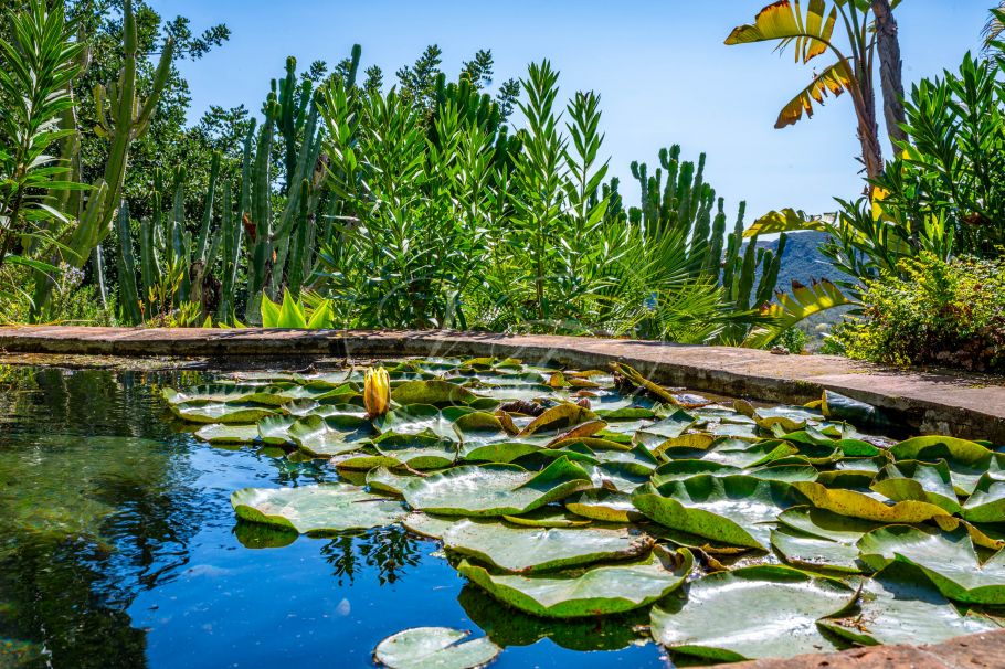 Fully renovated country property with guest house, Alhaurin el Grande