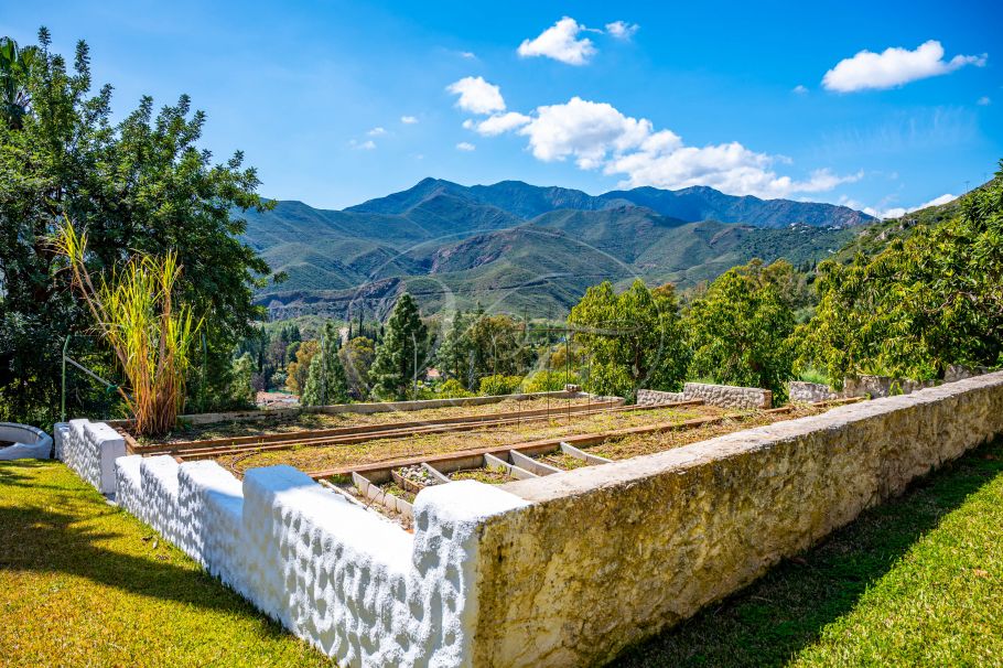 Fully renovated country property with guest house, Alhaurin el Grande