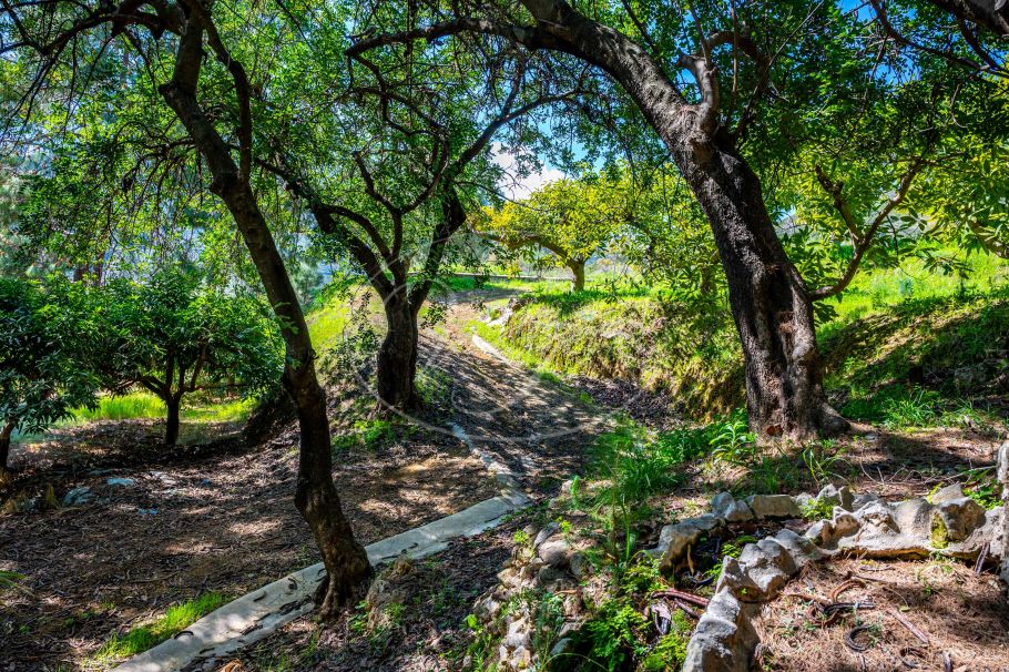 Fully renovated country property with guest house, Alhaurin el Grande