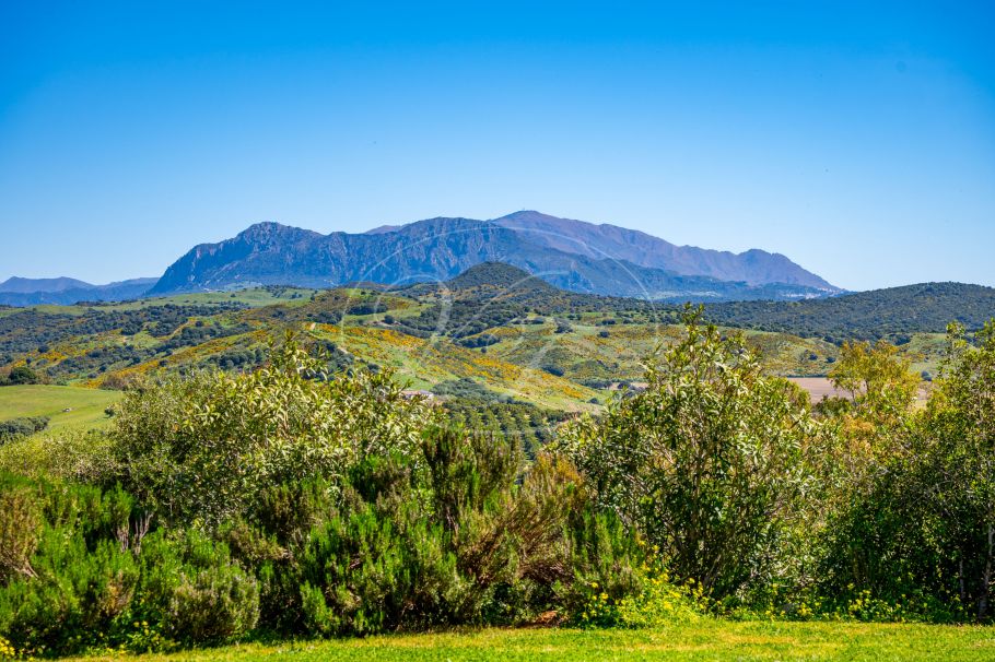 Luxury Country Property, Hilltop Paradise, Jimena de La Frontera