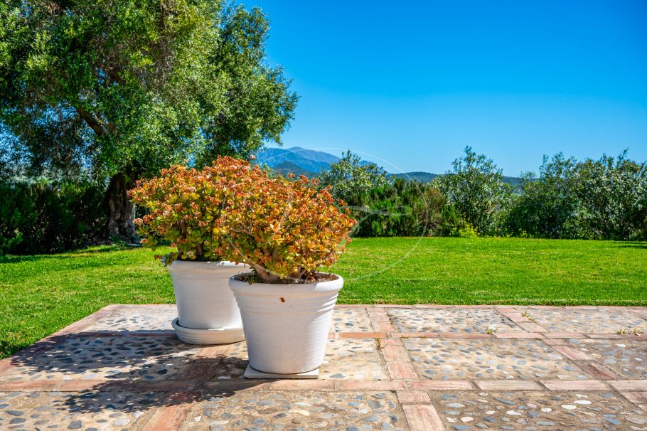 Luxury Country Property, Hilltop Paradise, Jimena de La Frontera