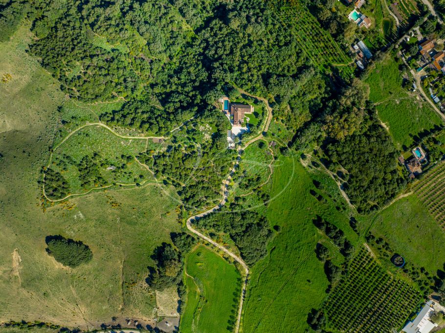 Luxury Country Property, Hilltop Paradise, Jimena de La Frontera